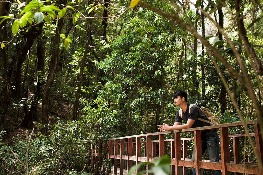 hiker-bridge-jungle